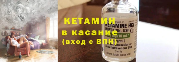 шишки Дмитриев