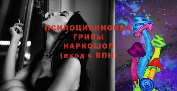 спиды Гусь-Хрустальный