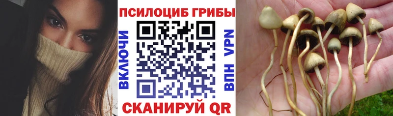 Псилоцибиновые грибы GOLDEN TEACHER  Купить где  Нефтеюганск 